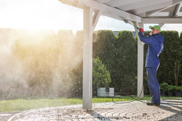 Animal Enclosure Cleaning in Zilwaukee, MI